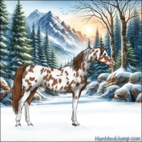 Horse Color:Chestnut Sabino Tobiano Appaloosa Rabicano 