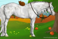 Horse Color:White Spotted Liver Red Dun Ice Pearl Sabino Splash Appaloosa Brindle 