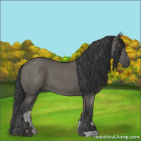 Horse Color:Grullo
