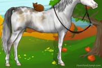 Horse Color:White Spotted Liver Red Onyx Ice Splash Tobiano 