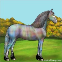 Horse Color:Nacre Plaid  Liver Red Dun Sabino Rabicano 