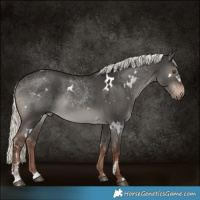 Horse Color:White Spotted Liver Red Dun Mushroom Sabino 