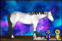 Horse Color:White Spotted Bay Chinchilla 