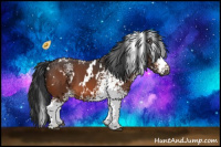 Horse Color:White Spotted Bay 