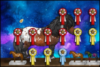 Horse Color:White Spotted Bay Appaloosa