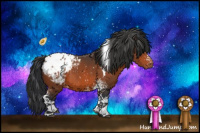 Horse Color:White Spotted Brown Appaloosa