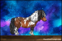 Horse Color:White Spotted Bay 