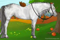 Horse Color:White Spotted Smoky Grullo Chinchilla Ice Brindle