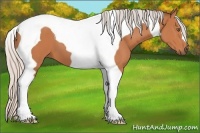 Horse Color:Silver Bay Tobiano 