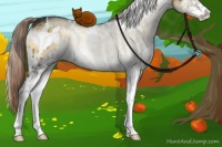 Horse Color:White Spotted Chocolate Palomino Onyx Sabino 
