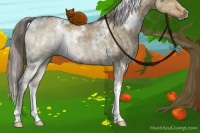 Horse Color:White Spotted Chocolate Palomino Ice Dun Rabicano Brindle