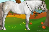 Horse Color:White Spotted Chocolate Palomino Dun Brindle