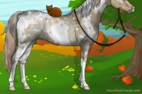 Horse Color:White Spotted Chocolate Palomino Ice Dun Rabicano 