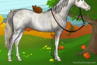 Horse Color:White Spotted Chocolate Palomino Ice Pearl Onyx Sabino