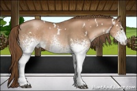Horse Color:White Spotted Liver Chestnut Pearl 