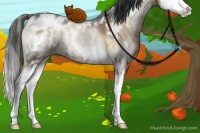 Horse Color:White Spotted Liver Red Onyx Ice Splash Appaloosa Rabicano
