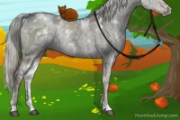 Horse Color:White Spotted Liver Red Dun Ice Rabicano