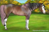 Horse Color:Brown Mushroom Splash Rabicano