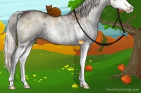 Horse Color:Chocolate Silver Smoky Grullo Chinchilla Ice Sabino Brindle