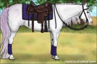 Horse Color:Watercolor Liver Red Dun Roan Onyx Sabino Splash Rabicano