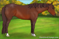 Horse Color:Chocolate Brown 