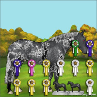 Horse Color:White Spotted Silver Black Chinchilla Mushroom Rabicano 