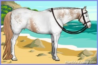 Horse Color:White Spotted Liver Chestnut Pearl