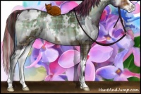 Horse Color:Painted Plaid  White Spotted Bay Onyx Sabino 