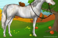 Horse Color:White Spotted Liver Red Dun Pearl Onyx Rabicano 