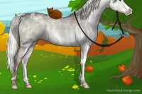 Horse Color:White Spotted Liver Red Dun Ice Sabino Splash Rabicano