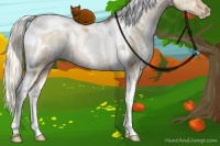 Horse Color:White Spotted Liver Red Dun Ice Pearl Tobiano Rabicano