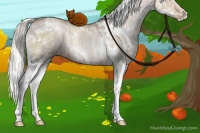 Horse Color:White Spotted Liver Red Dun Pearl Splash Rabicano 