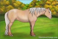 Horse Color:Silver Amber Champagne 