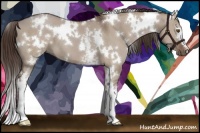Horse Color:White Spotted Liver Red Dun