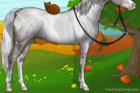 Horse Color:White Spotted Chocolate Silver Black Chinchilla Ice Sabino