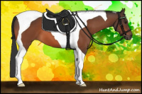 Horse Color:Bay Tobiano 