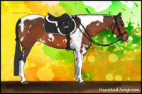 Horse Color:White Spotted Brown Tobiano 