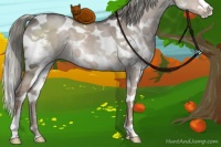 Horse Color:White Spotted Liver Red Dun Splash Tobiano 