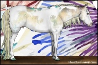 Horse Color:Painted Plaid Chocolate Palomino Onyx Sabino Splash Tobiano Rabicano