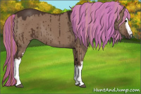 Horse Color:Painted White Spotted Liver Red Dun Brindle
