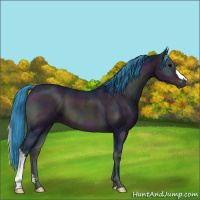Horse Color:Watercolor Midnight Bay Ice Onyx 
