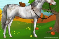 Horse Color:White Spotted Liver Red Onyx Ice