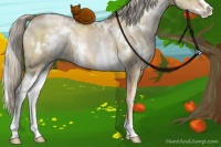 Horse Color:White Spotted Chocolate Palomino Pearl Dun Sabino