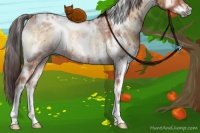 Horse Color:White Spotted Brown Ice Onyx Rabicano