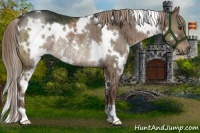 Horse Color:White Spotted Liver Red Dun Rabicano Brindle