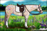 Horse Color:Nacre Bay Ice Dun 