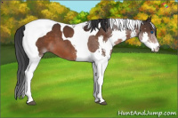Horse Color:Brown Splash Tobiano 