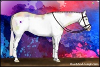 Horse Color:Nacre Silver Amber Champagne Dun Splash Frame 