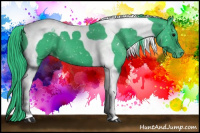 Horse Color:Watercolor Black Tobiano Appaloosa 
