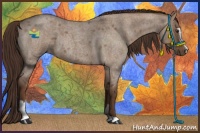 Horse Color:Liver Red Dun Roan Sabino 